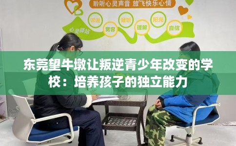 东莞望牛墩让叛逆青少年改变的学校：培养孩子的独立能力