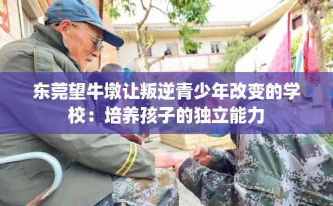 东莞望牛墩让叛逆青少年改变的学校：培养孩子的独立能力