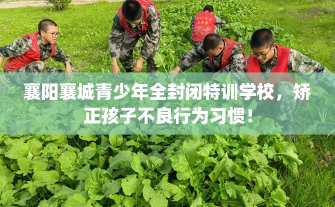 襄阳襄城青少年全封闭特训学校，矫正孩子不良行为习惯！