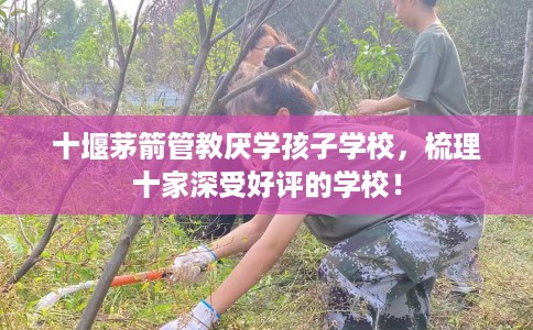 十堰茅箭管教厌学孩子学校，梳理十家深受好评的学校！