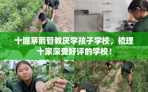十堰茅箭管教厌学孩子学校，梳理十家深受好评的学校！