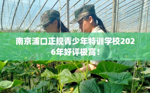 南京浦口正规青少年特训学校2026年好评极高！