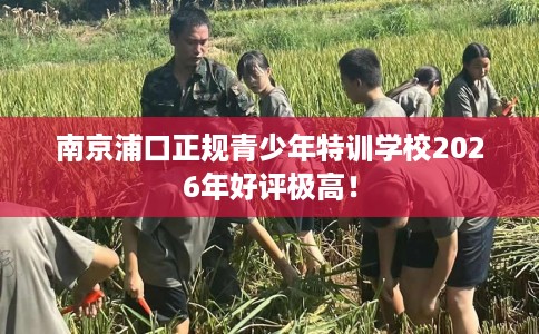 南京浦口正规青少年特训学校2026年好评极高！