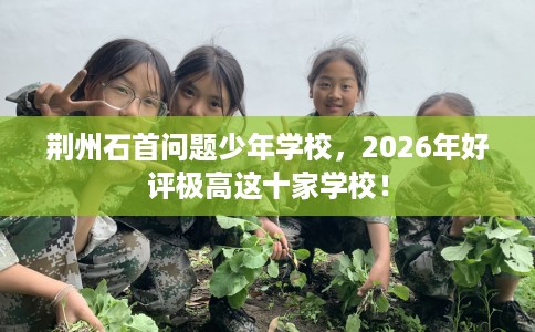 荆州石首问题少年学校，2026年好评极高这十家学校！