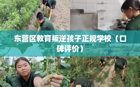 东营区教育叛逆孩子正规学校（口碑评价）