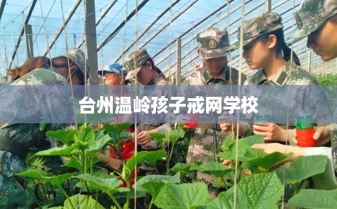 台州温岭孩子戒网学校