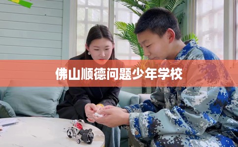 佛山顺德问题少年学校
