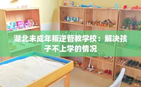 湖北未成年叛逆管教学校：解决孩子不上学的情况