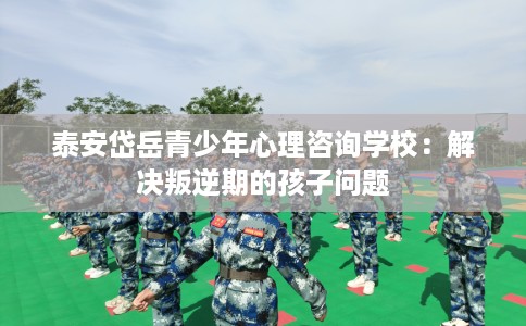 泰安岱岳青少年心理咨询学校：解决叛逆期的孩子问题