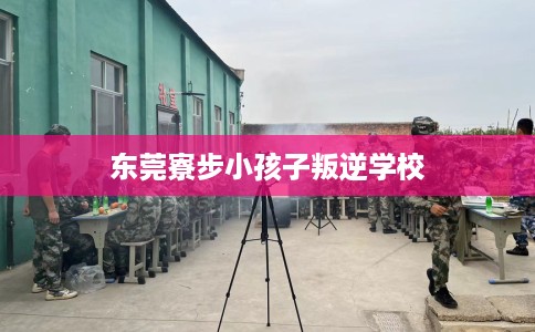 东莞寮步小孩子叛逆学校