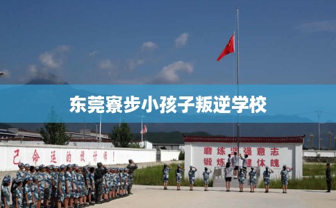 东莞寮步小孩子叛逆学校
