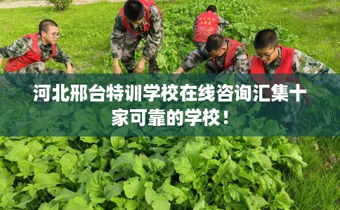河北邢台特训学校在线咨询汇集十家可靠的学校！