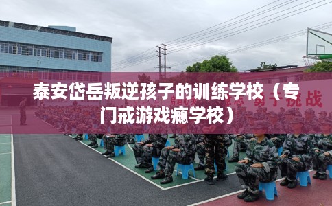泰安岱岳叛逆孩子的训练学校（专门戒游戏瘾学校）