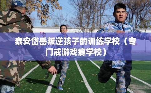 泰安岱岳叛逆孩子的训练学校（专门戒游戏瘾学校）