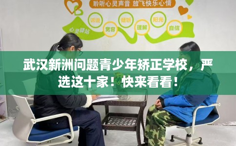 武汉新洲问题青少年矫正学校，严选这十家！快来看看！