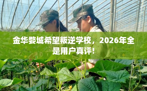 金华婺城希望叛逆学校，2026年全是用户真评!
