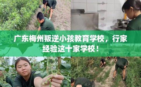 广东梅州叛逆小孩教育学校，行家经验这十家学校！
