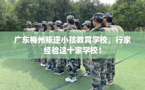 广东梅州叛逆小孩教育学校，行家经验这十家学校！