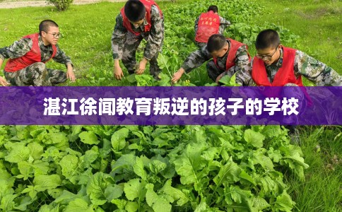 湛江徐闻教育叛逆的孩子的学校