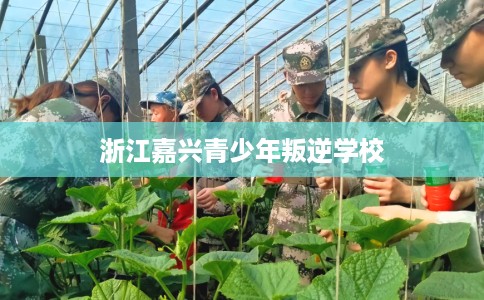 浙江嘉兴青少年叛逆学校