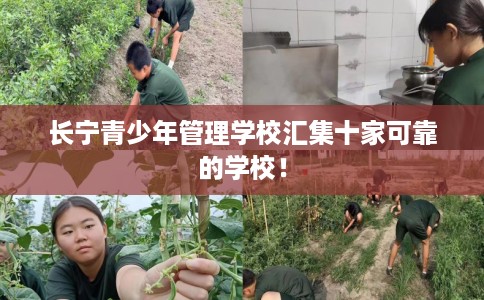 长宁青少年管理学校汇集十家可靠的学校！
