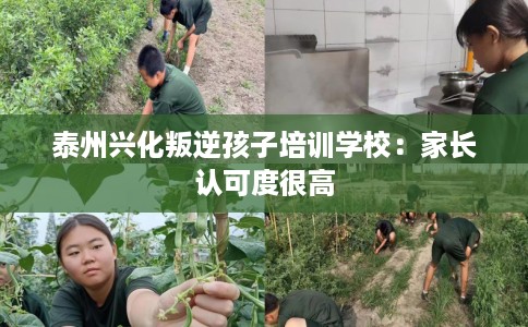 泰州兴化叛逆孩子培训学校：家长认可度很高