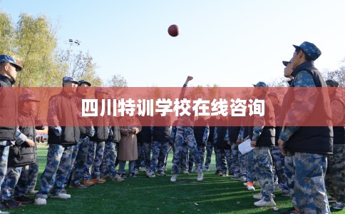 四川特训学校在线咨询