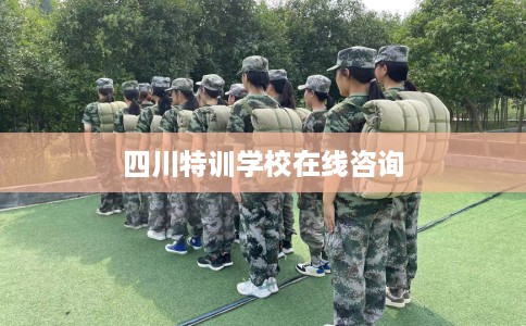 四川特训学校在线咨询