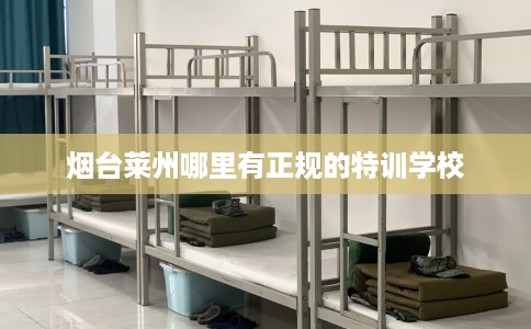 烟台莱州哪里有正规的特训学校