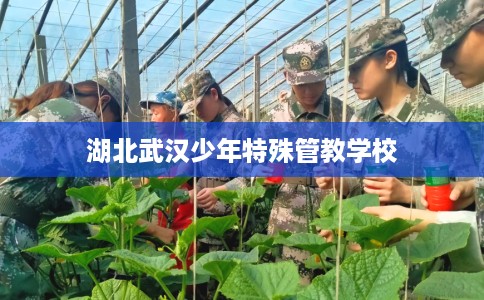 湖北武汉少年特殊管教学校