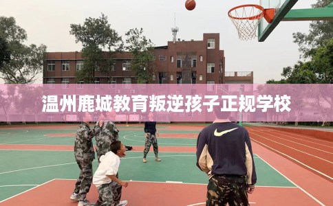 温州鹿城教育叛逆孩子正规学校