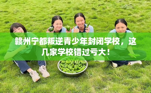 赣州宁都叛逆青少年封闭学校，这几家学校错过亏大！