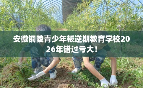 安徽铜陵青少年叛逆期教育学校2026年错过亏大！