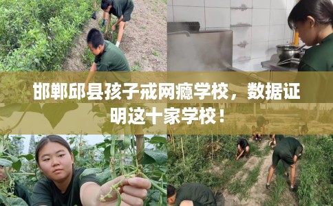 邯郸邱县孩子戒网瘾学校，数据证明这十家学校！