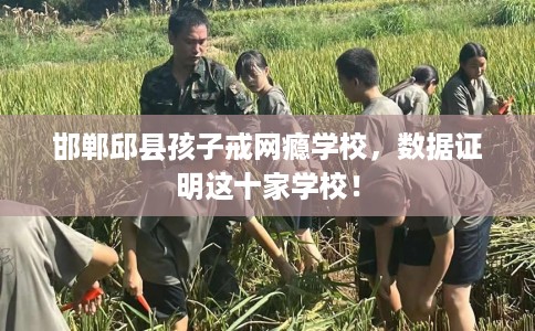 邯郸邱县孩子戒网瘾学校，数据证明这十家学校！
