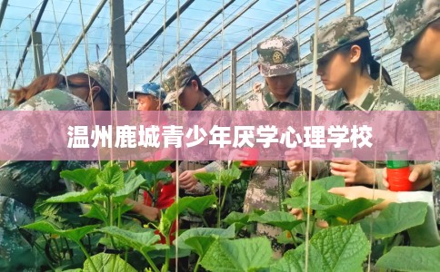 温州鹿城青少年厌学心理学校