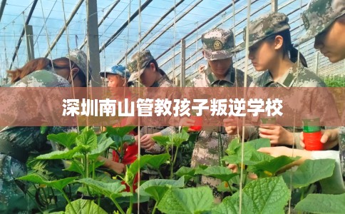 深圳南山管教孩子叛逆学校