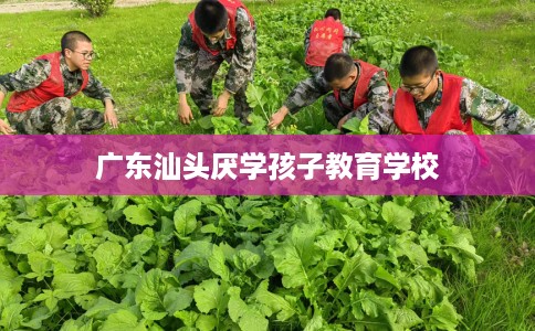 广东汕头厌学孩子教育学校