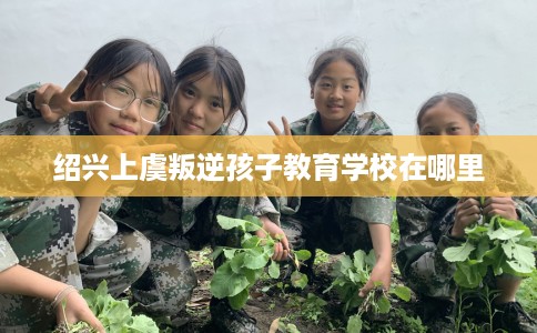 绍兴上虞叛逆孩子教育学校在哪里