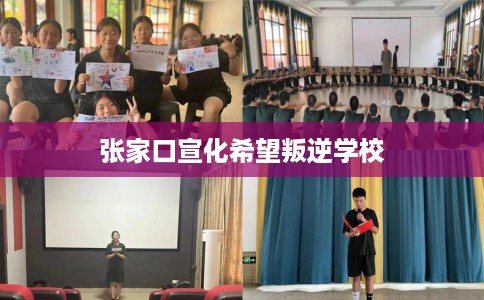 张家口宣化希望叛逆学校