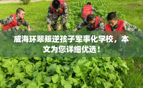 威海环翠叛逆孩子军事化学校，本文为您详细优选！