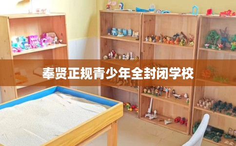 奉贤正规青少年全封闭学校