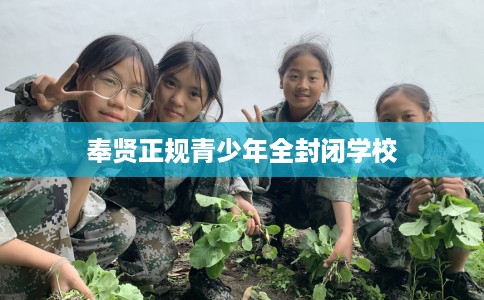 奉贤正规青少年全封闭学校