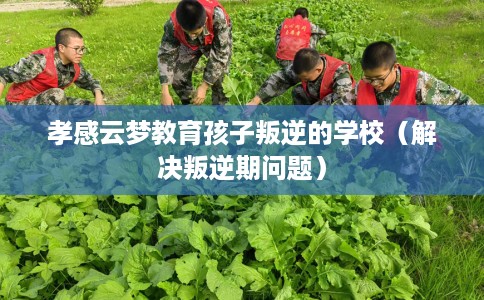 孝感云梦教育孩子叛逆的学校（解决叛逆期问题）