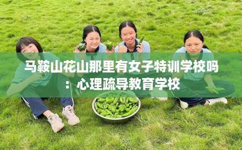 马鞍山花山那里有女子特训学校吗：心理疏导教育学校