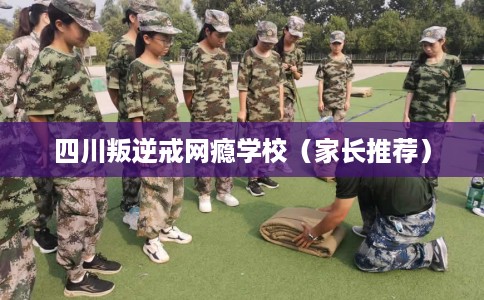 四川叛逆戒网瘾学校（家长推荐）