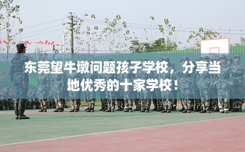 东莞望牛墩问题孩子学校，分享当地优秀的十家学校！