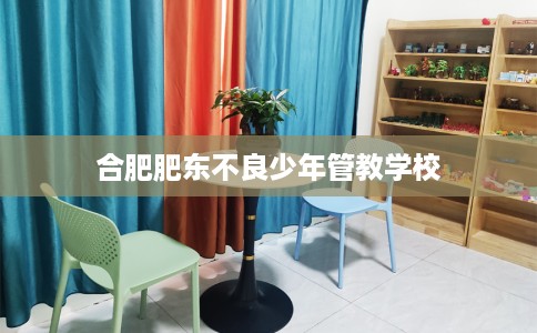 合肥肥东不良少年管教学校
