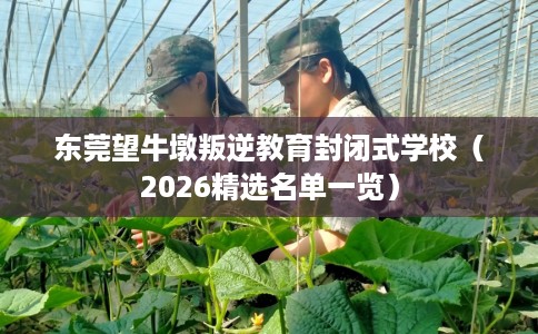 东莞望牛墩叛逆教育封闭式学校（2026精选名单一览）