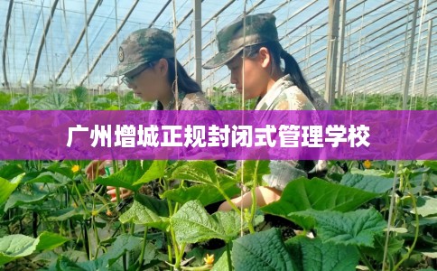 广州增城正规封闭式管理学校
